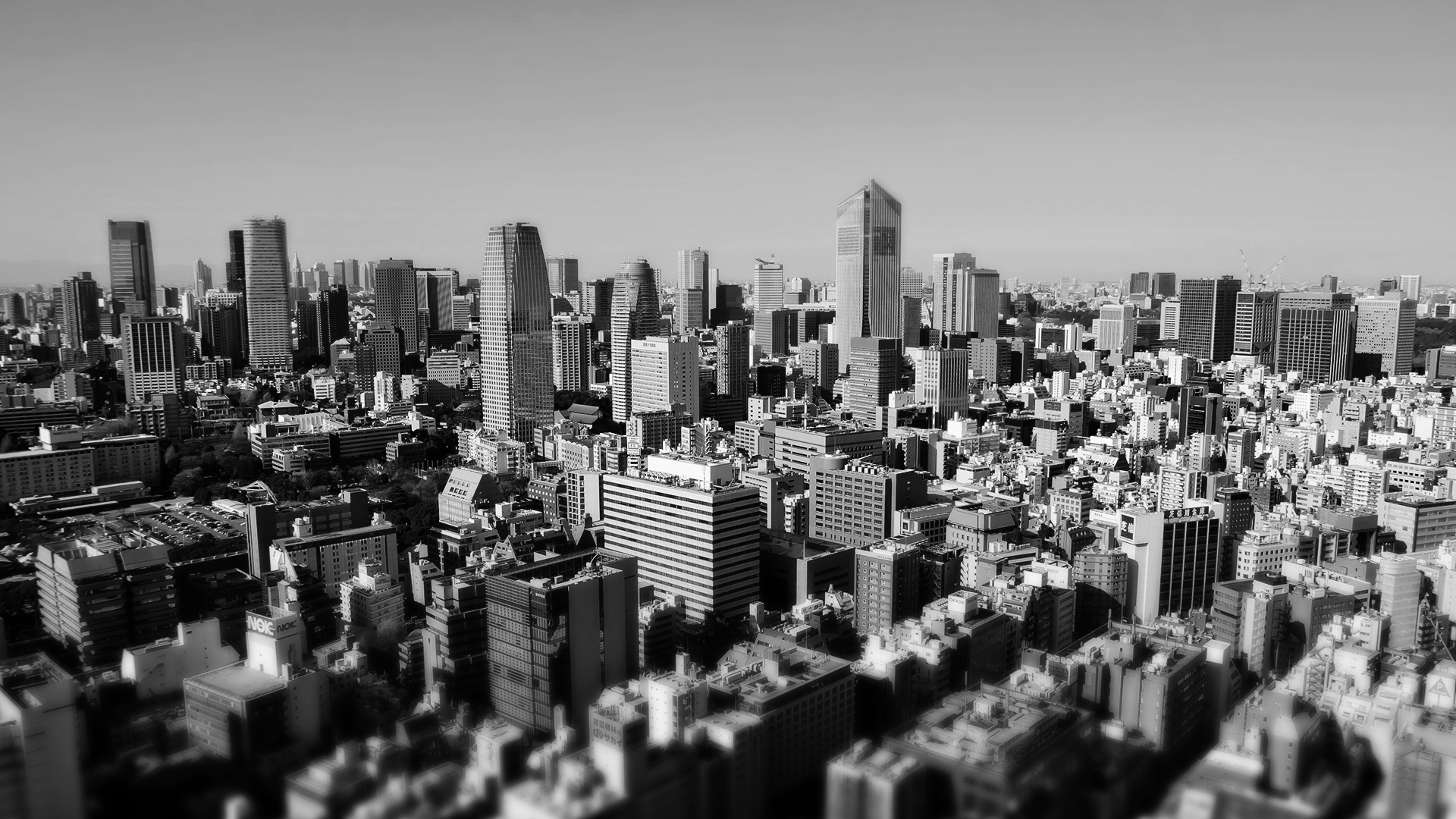 IPRコンサルタントグループイメージ画像01